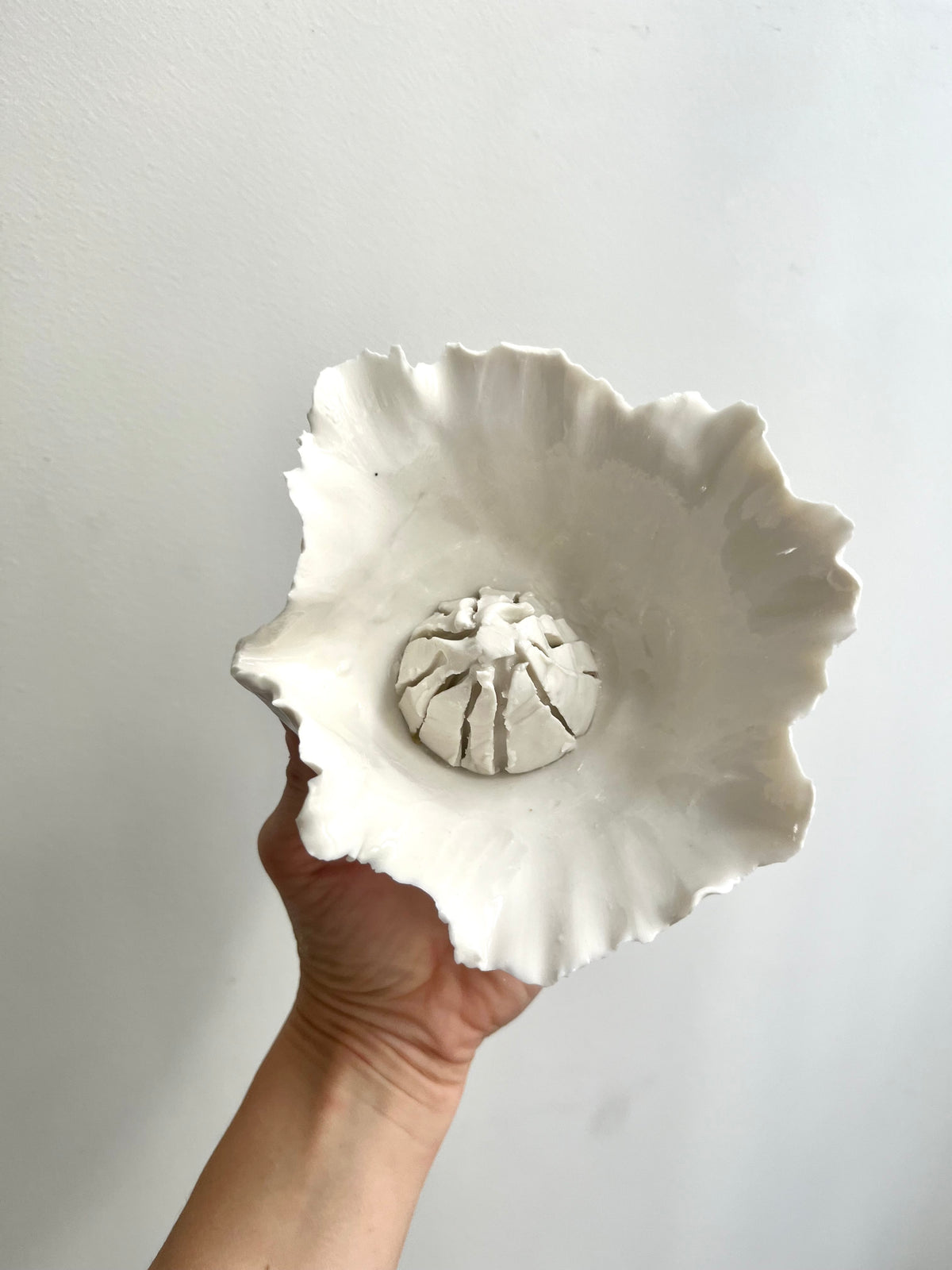 Presse citron 🍋- Vide atelier