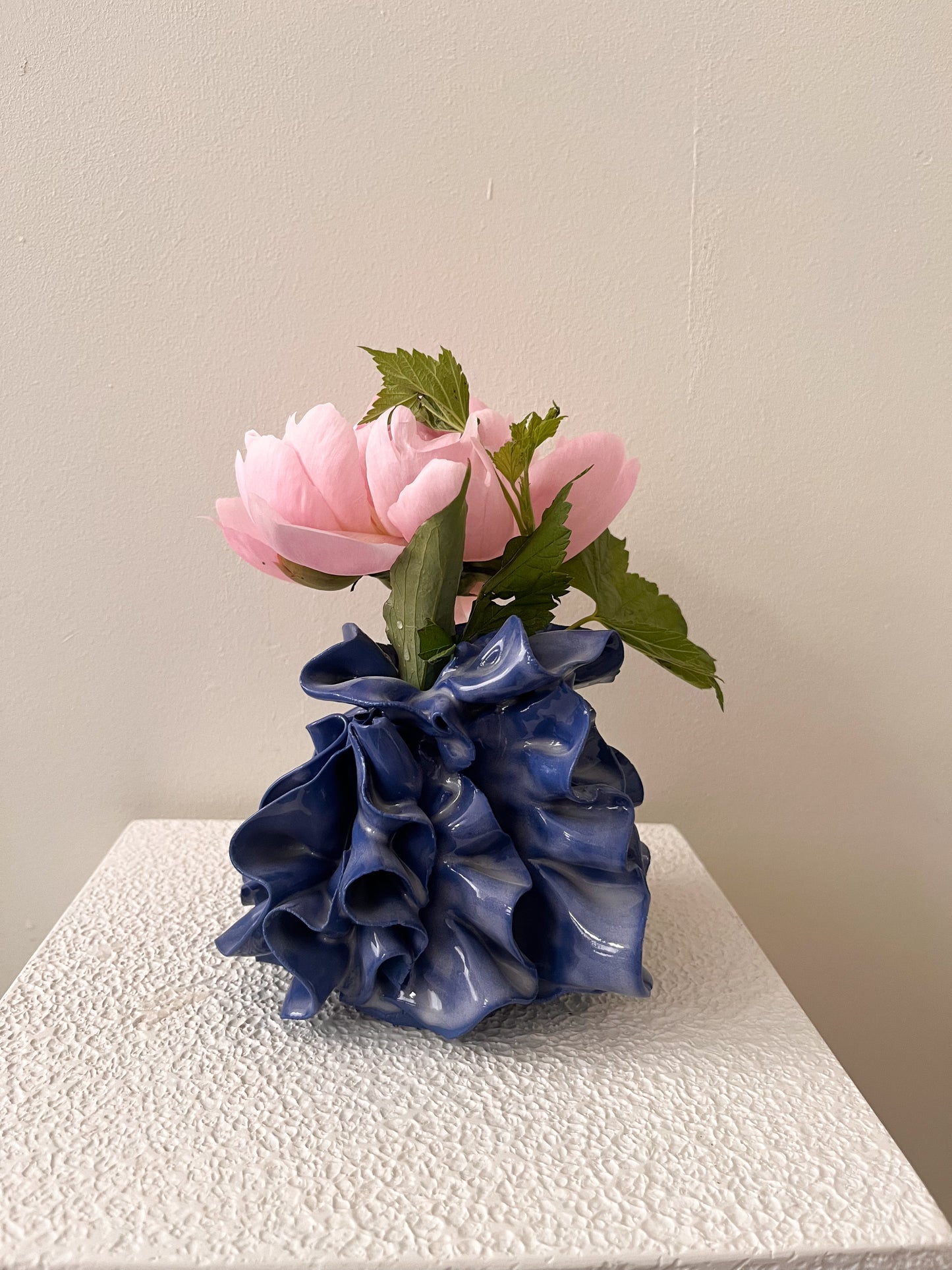 Vase Iris