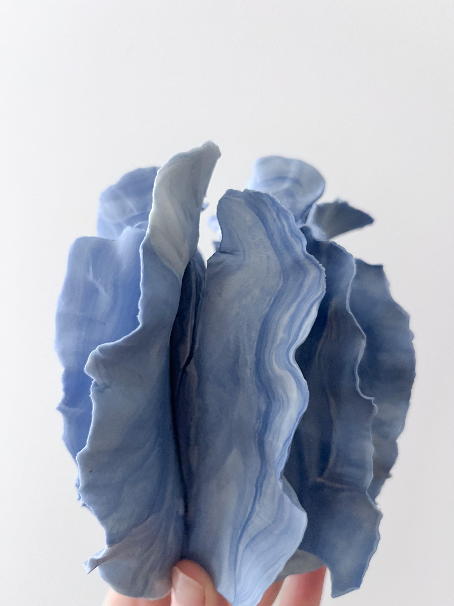Mini Vase Athéna bicolore