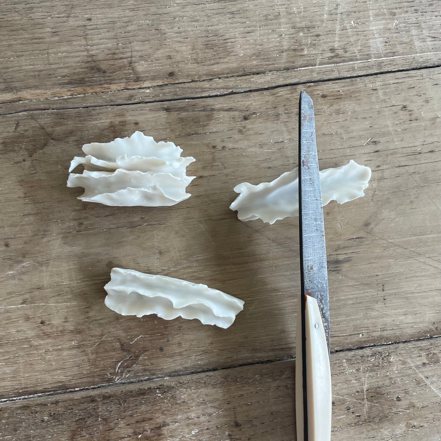 Lot de 6 Porte-couteaux Pavlova de la mer