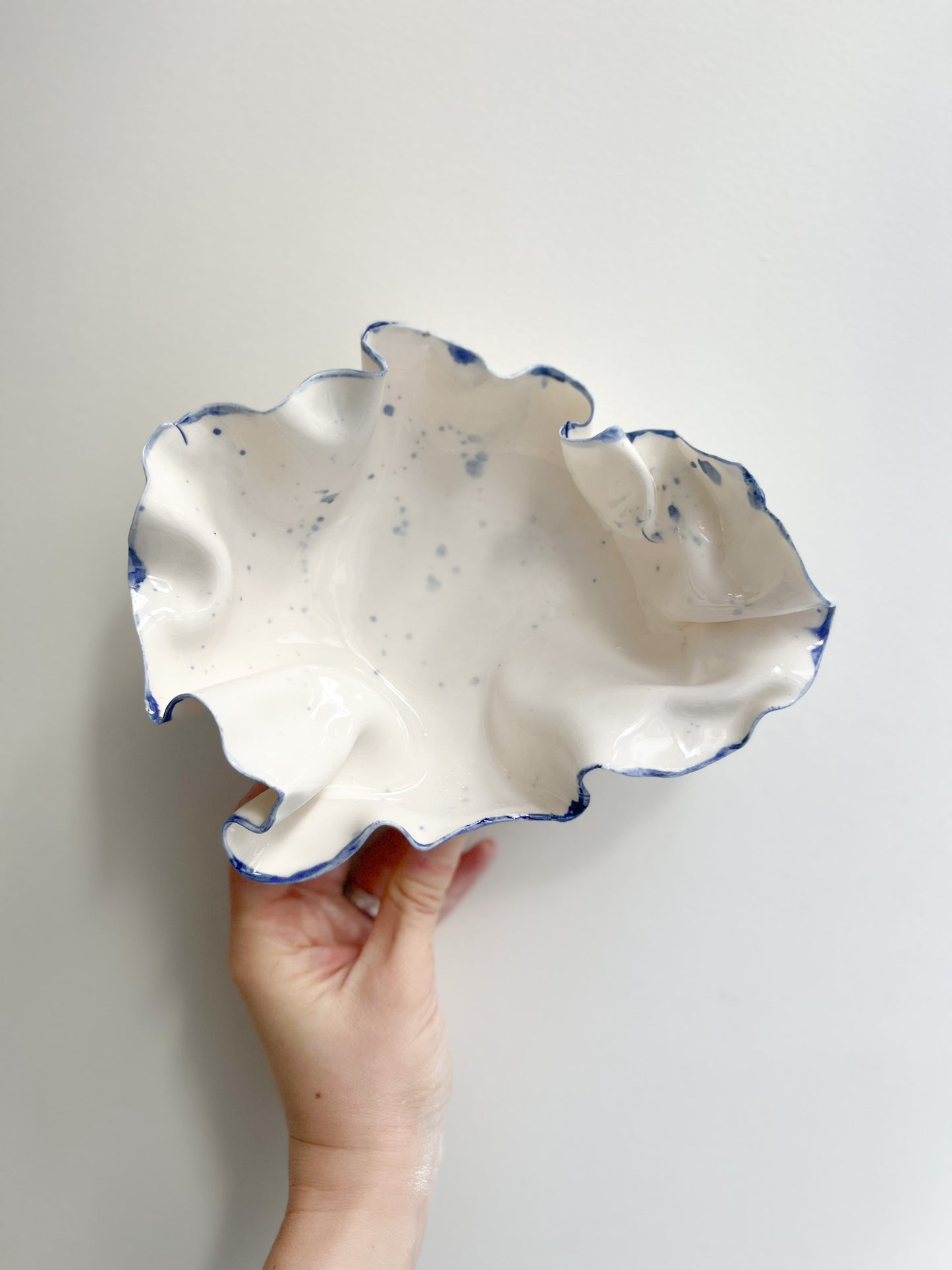 Coupelle Pavlova Voodhoo - Early Birdy