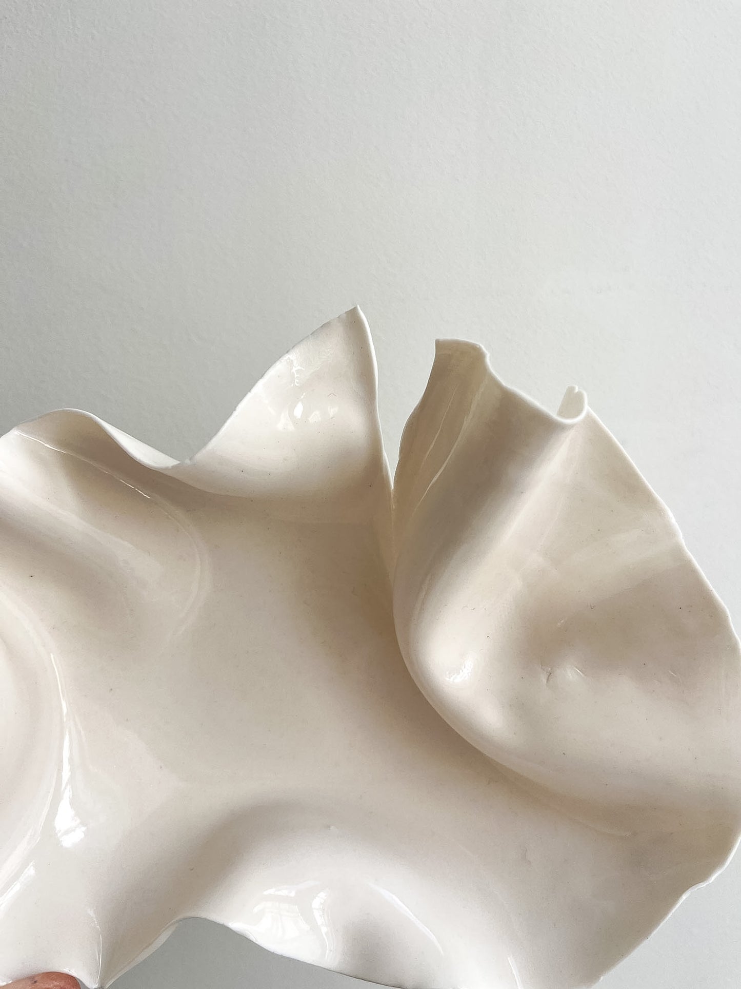 coupelle Pavlova - Vide atelier