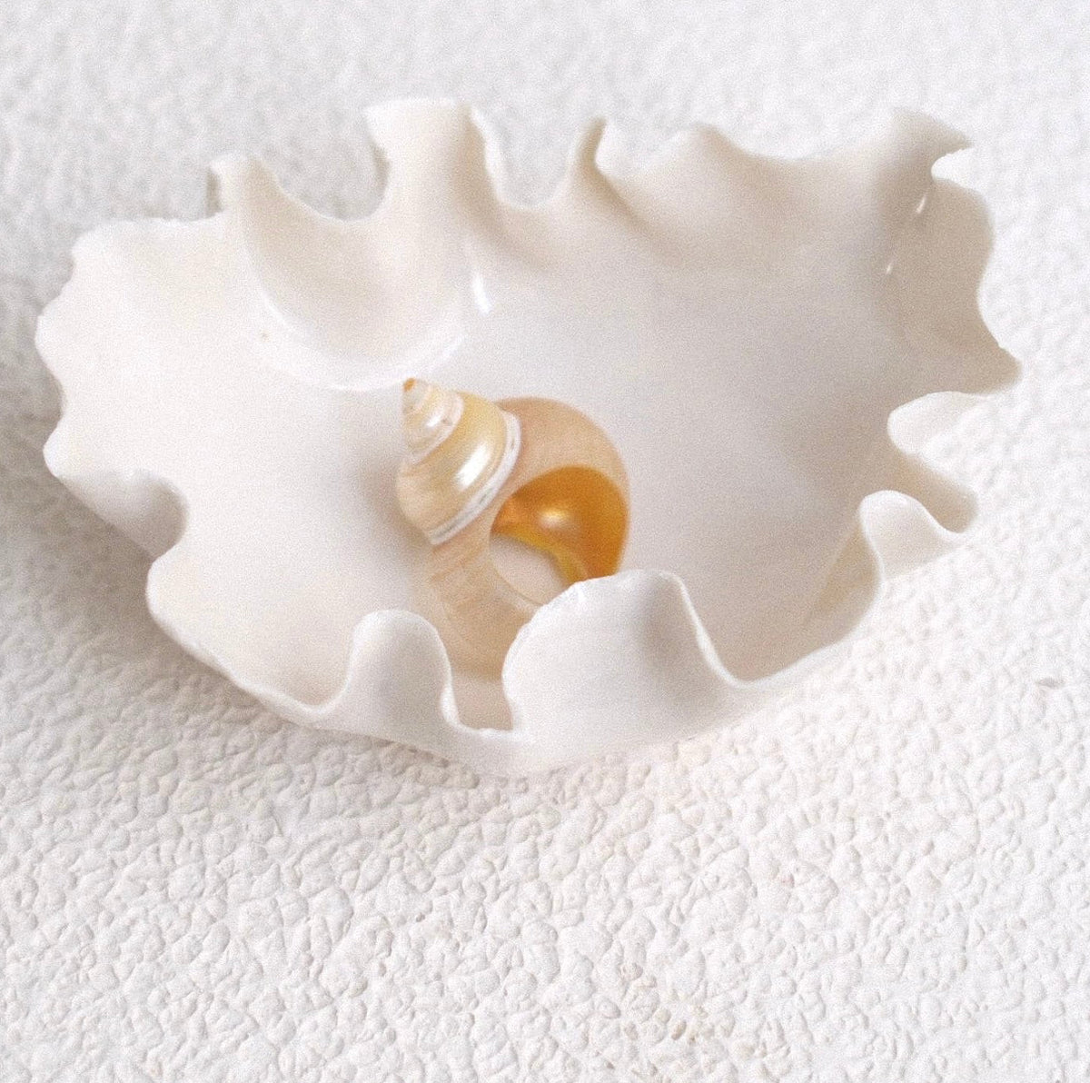 Petite Coupelle Pavlova