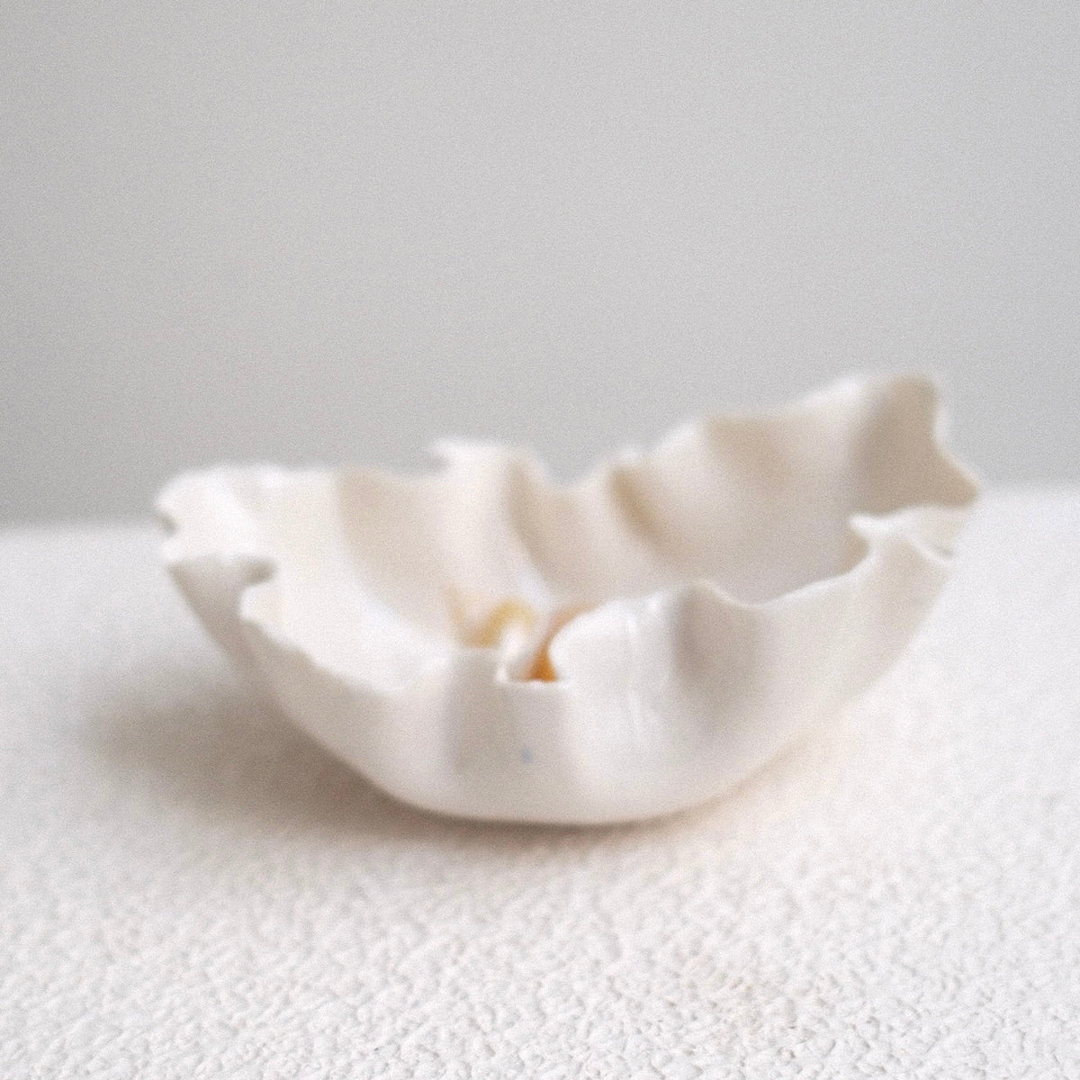 Petite Coupelle Pavlova