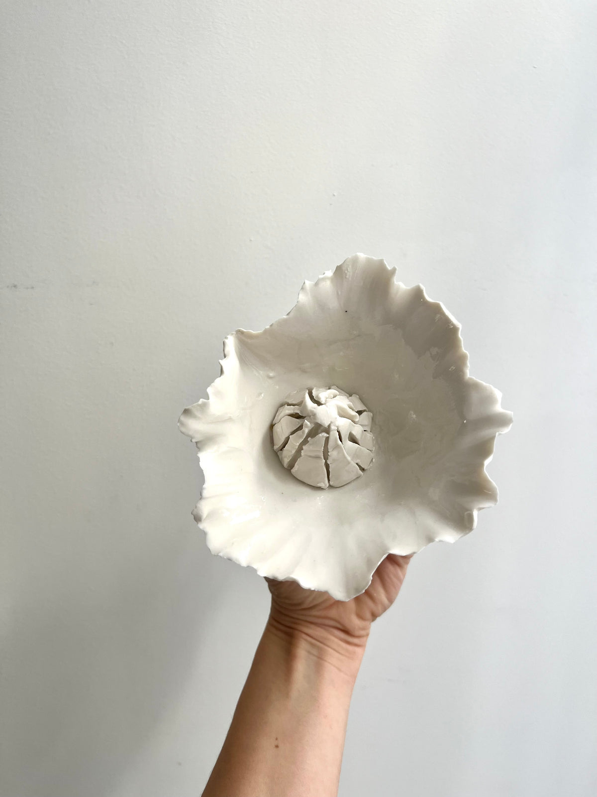 Presse citron 🍋- Vide atelier