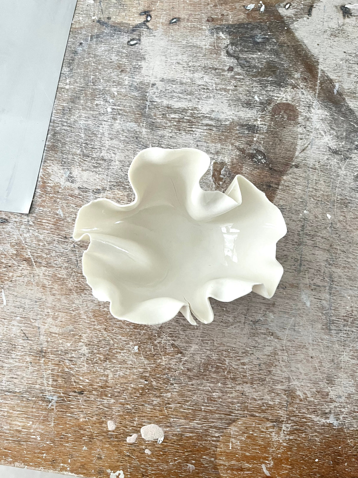 Coupelle Pavlova - Vide atelier