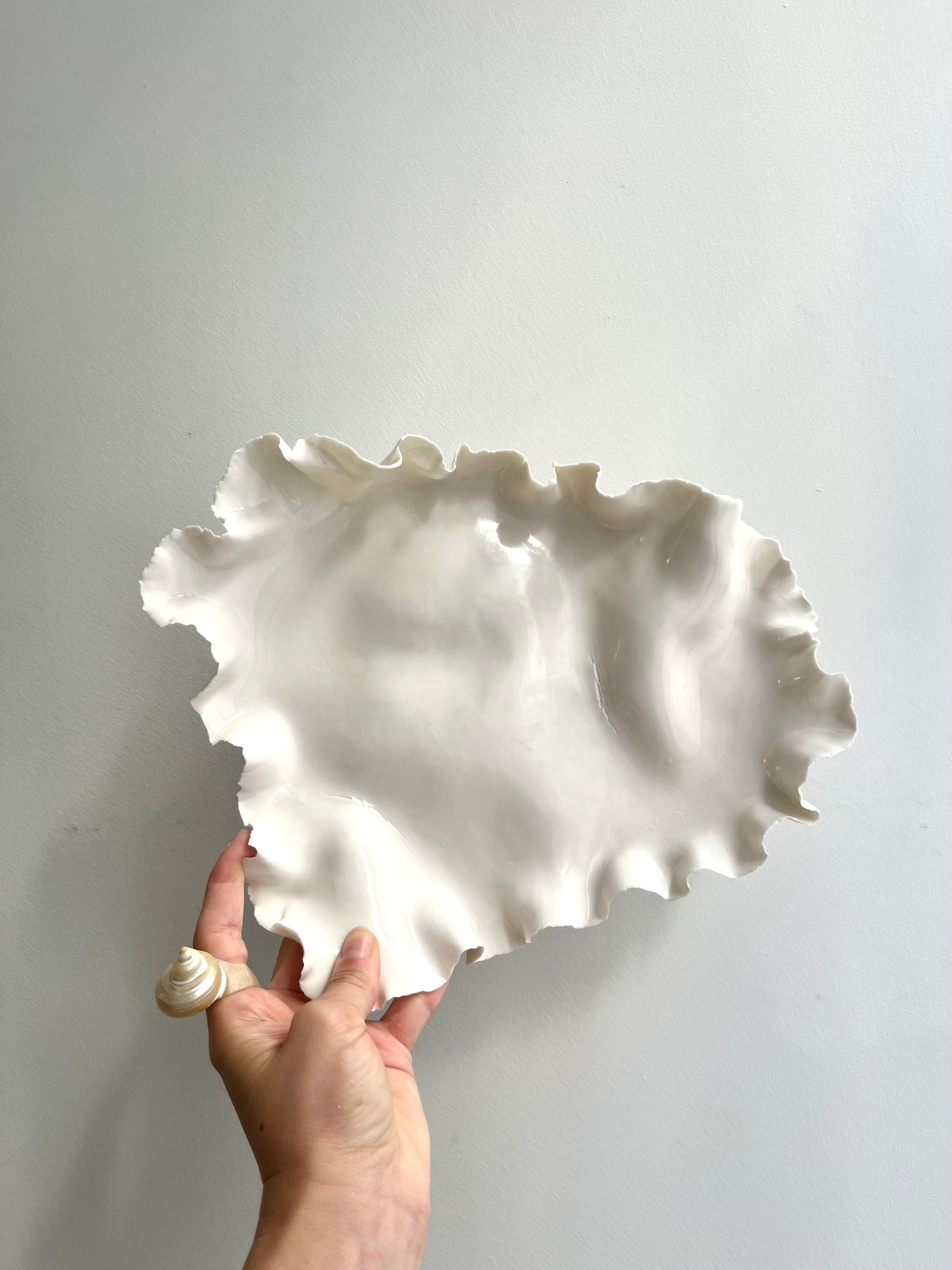 Grande Coupelle Pavlova - Vide atelier