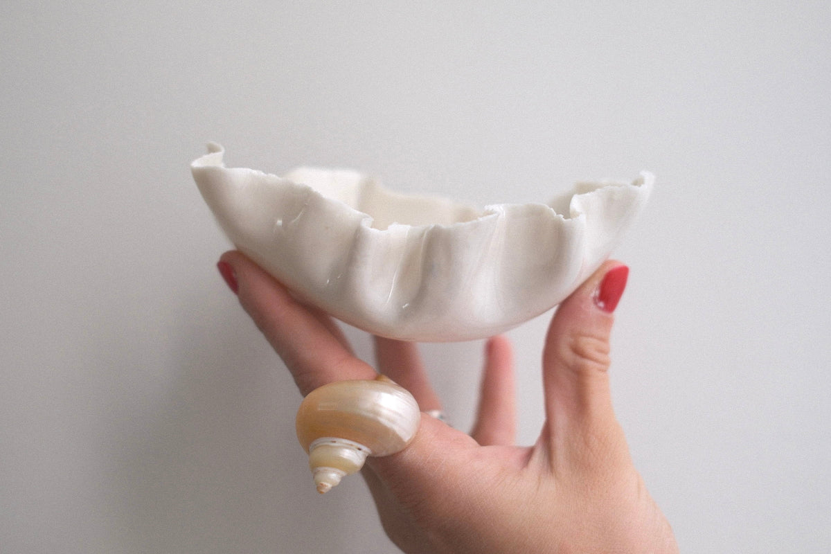 Petite Coupelle Pavlova