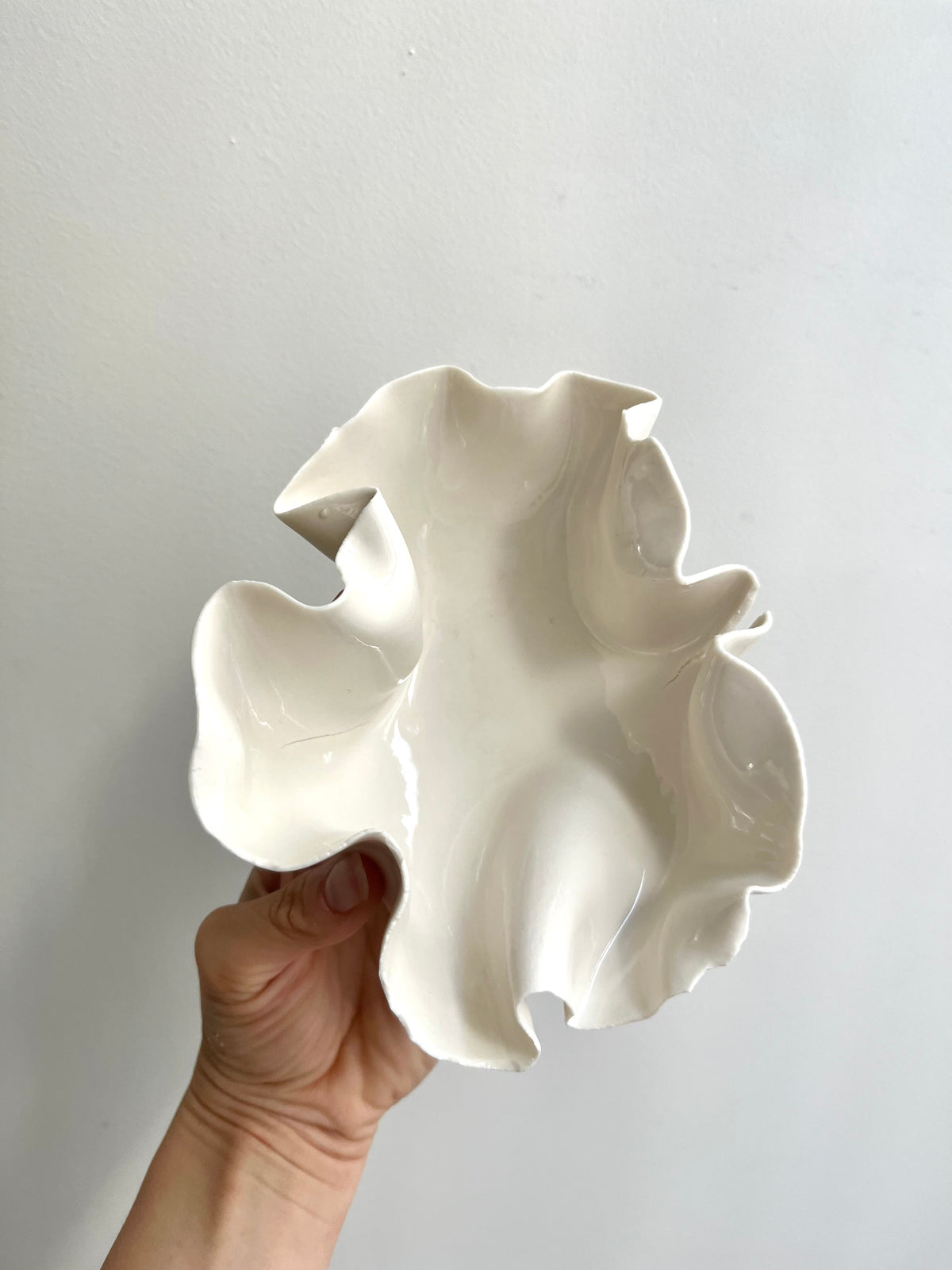 Coupelle Pavlova - Vide atelier
