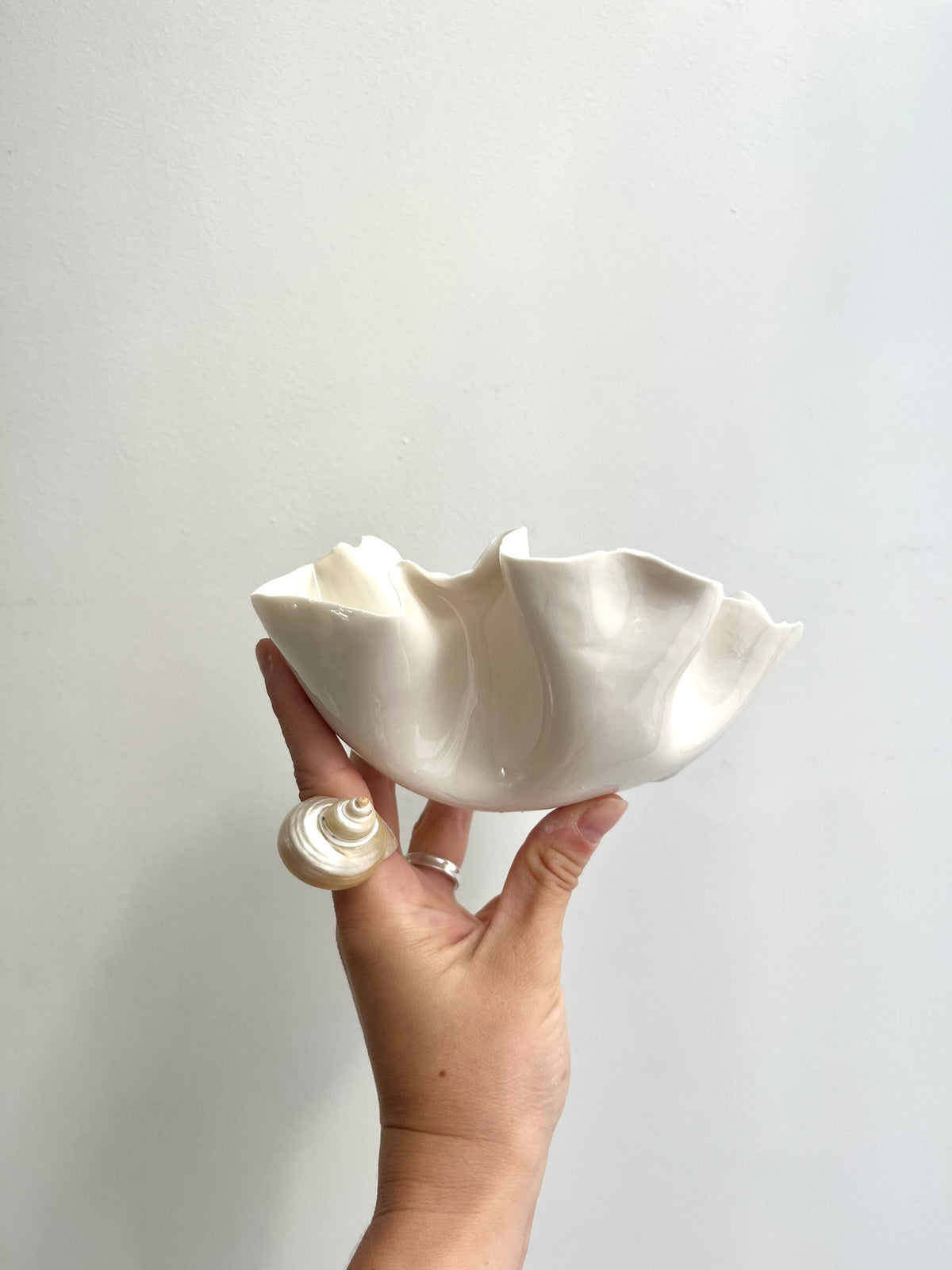 Coupelle Pavlova - Vide atelier
