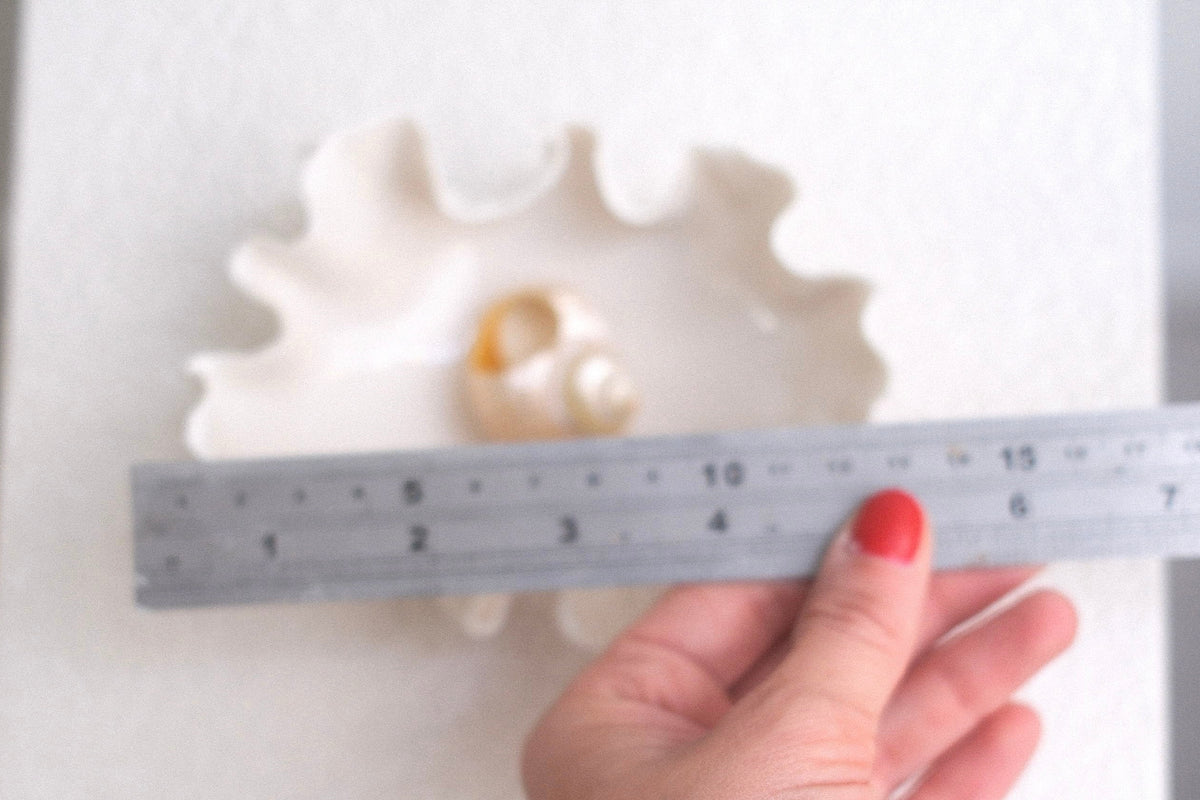Petite Coupelle Pavlova