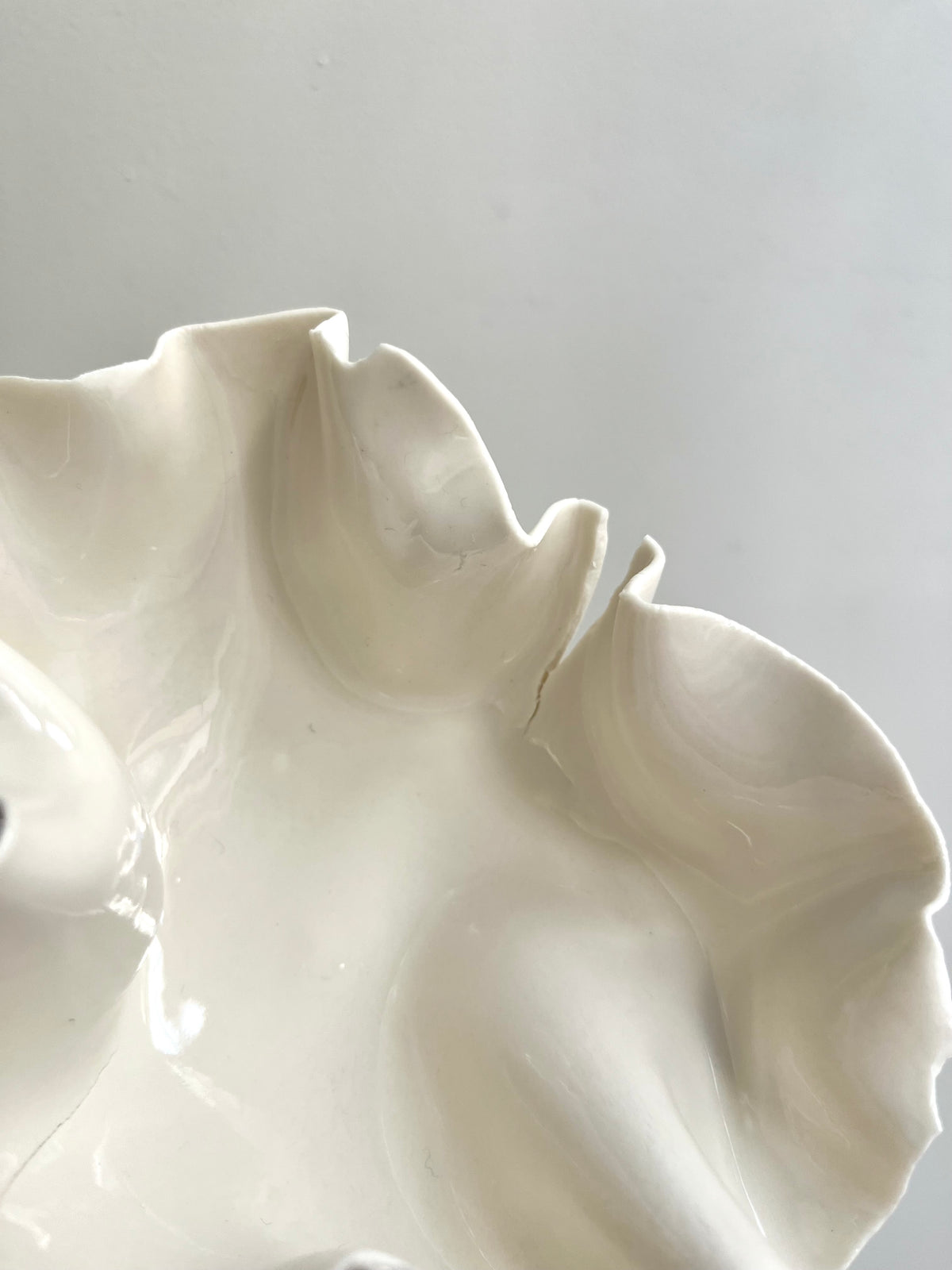 Coupelle Pavlova - Vide atelier
