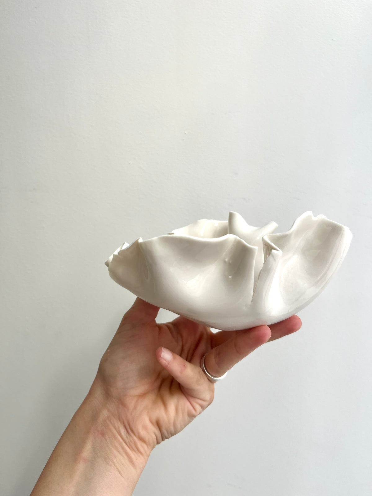 Coupelle Pavlova - Vide atelier