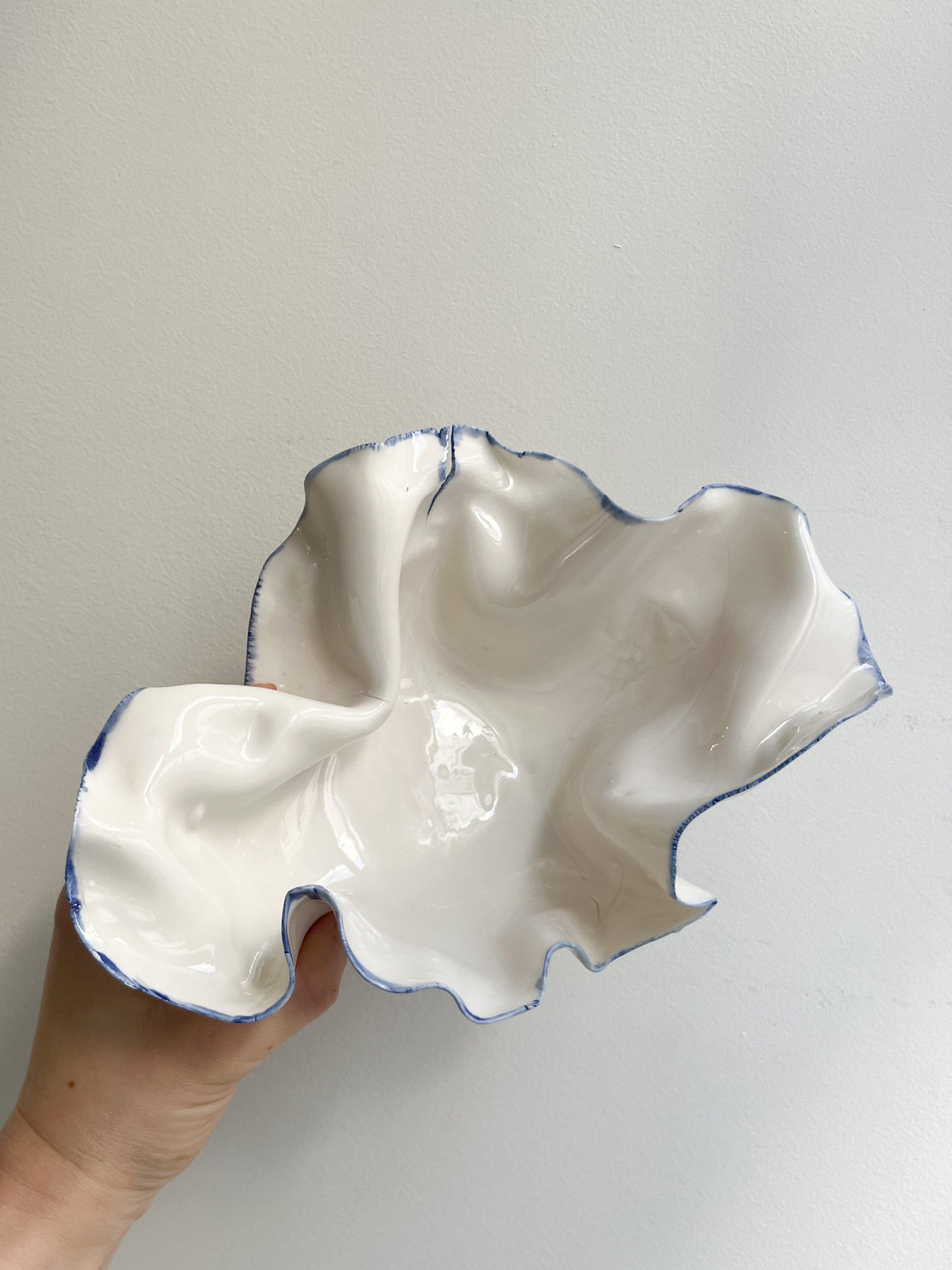 Coupelle Pavlova liseré bleu - Early Birdy