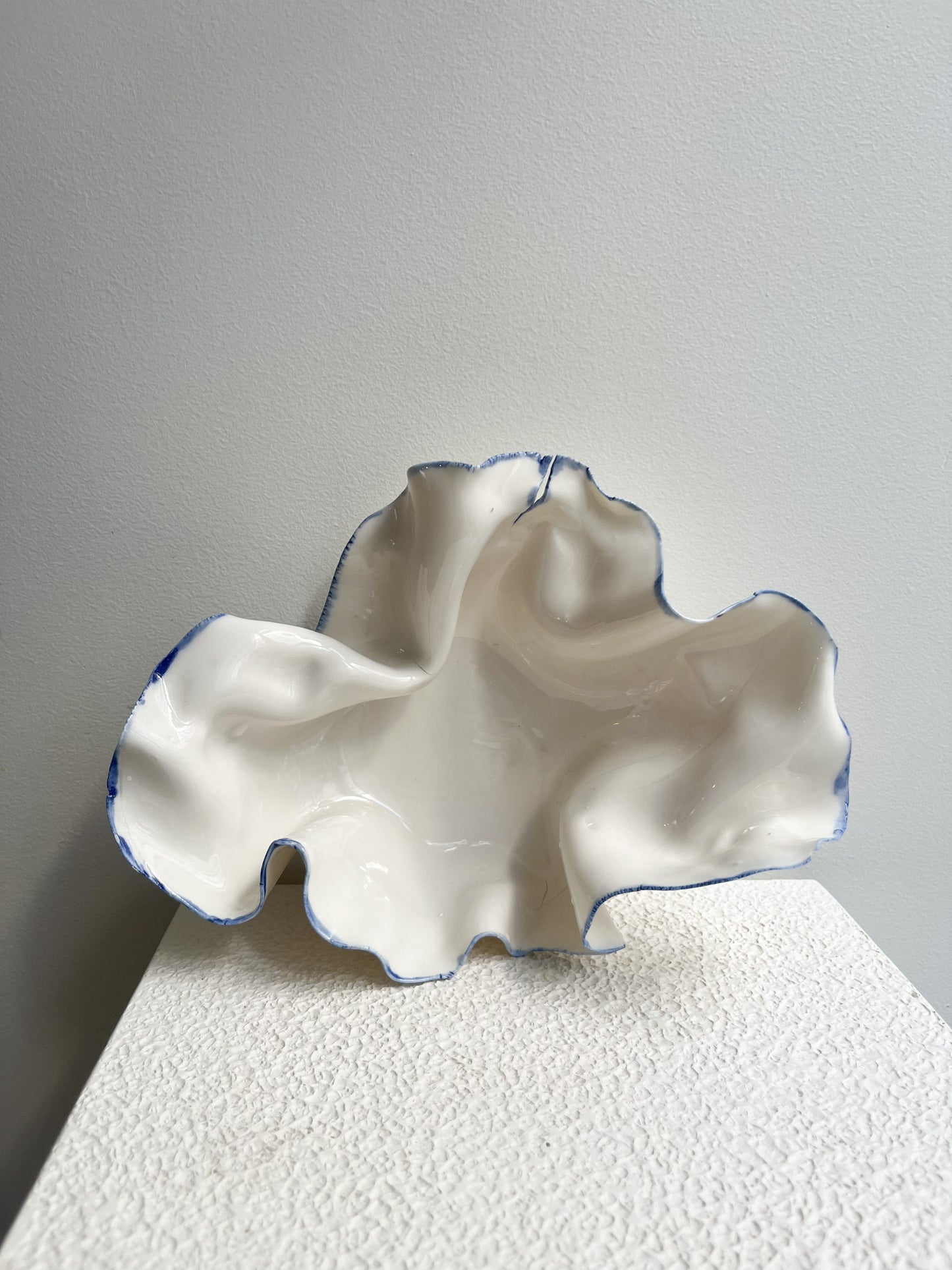 Coupelle Pavlova liseré bleu - Early Birdy