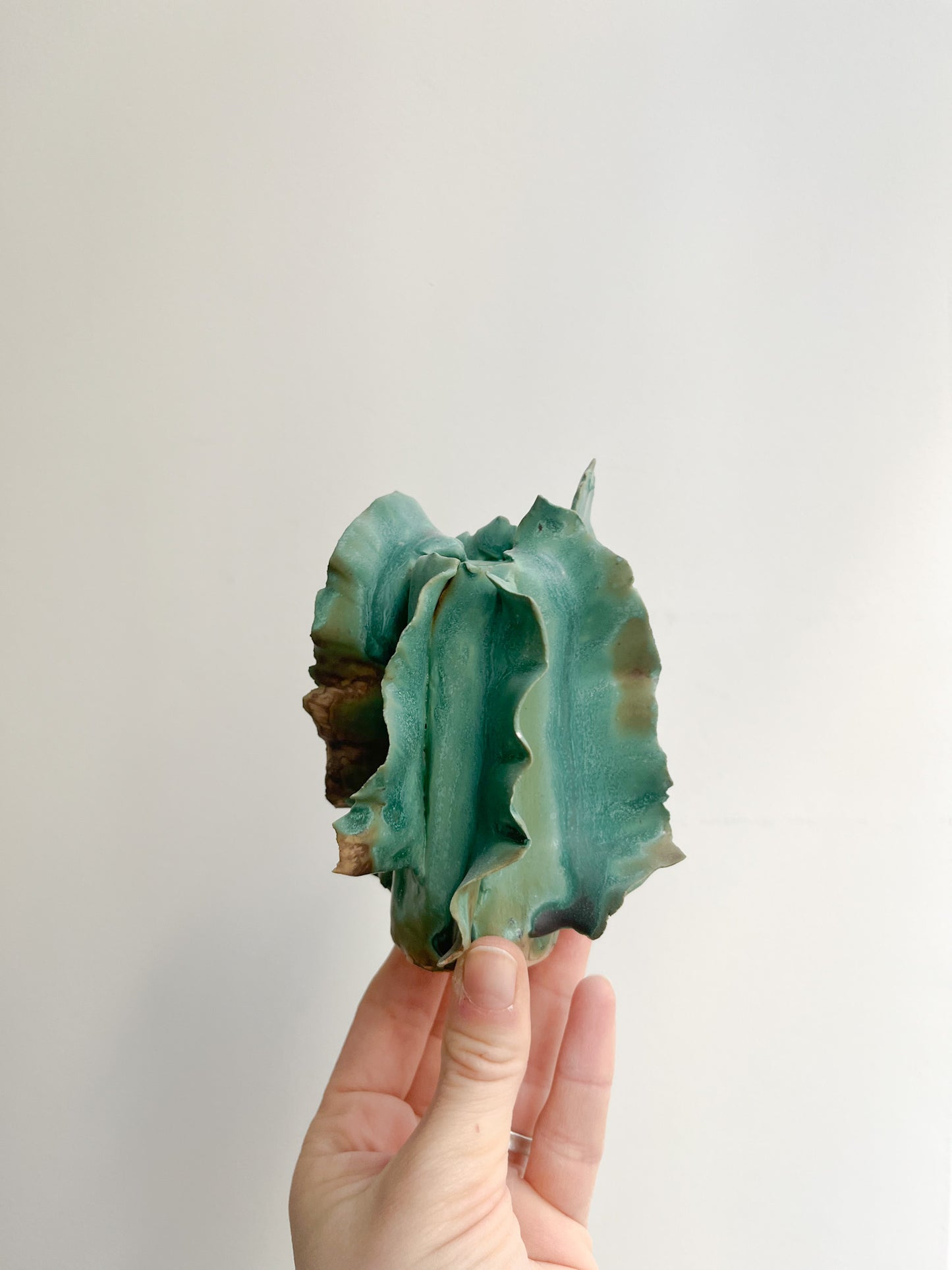 Petit Vase Athéna
