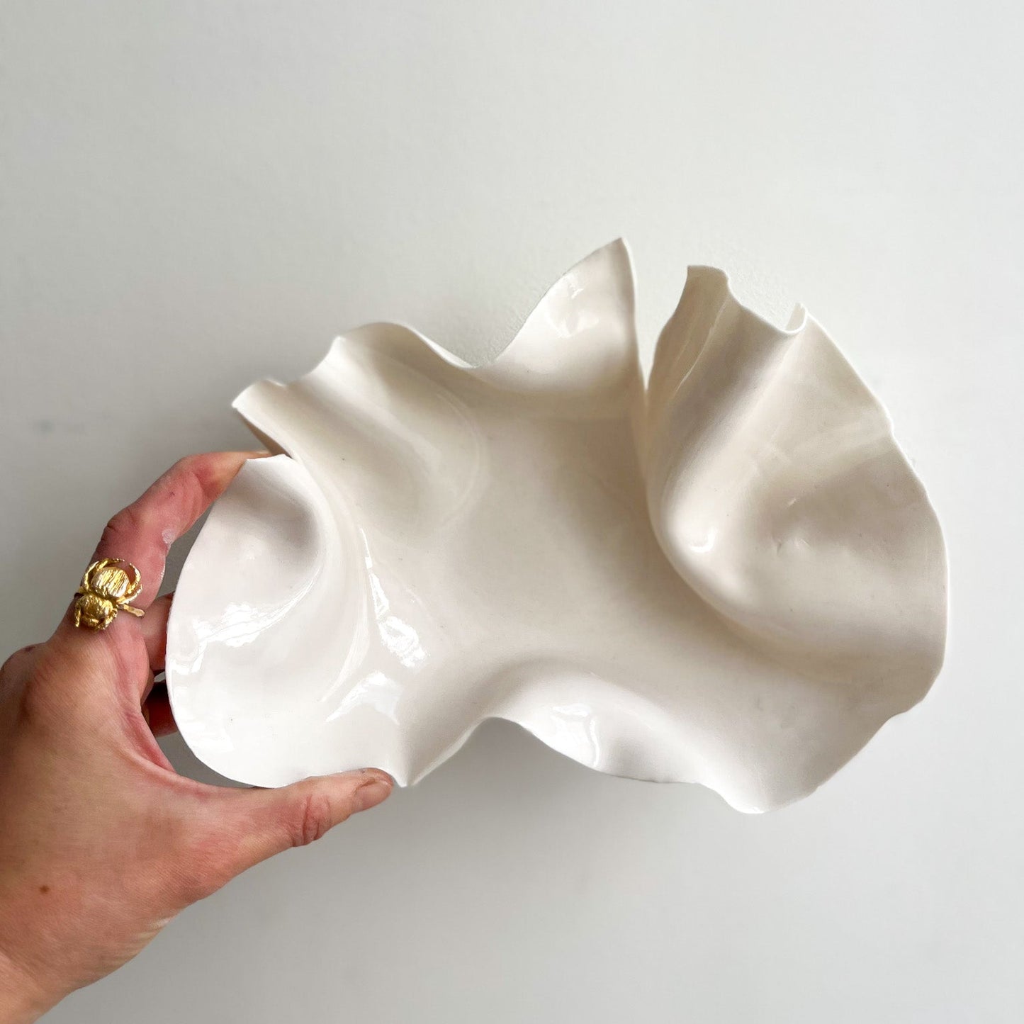 coupelle Pavlova - Vide atelier